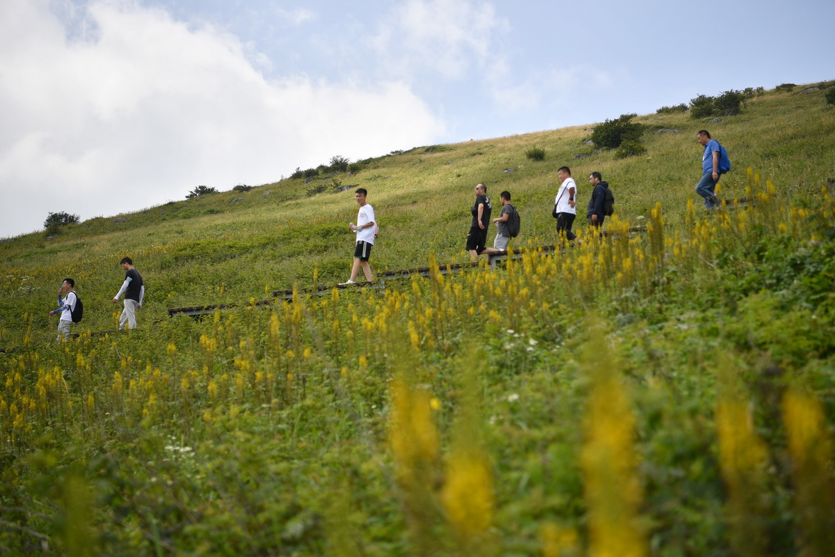 7月30日，游客在留壩縣紫柏山國家森林公園內游覽。