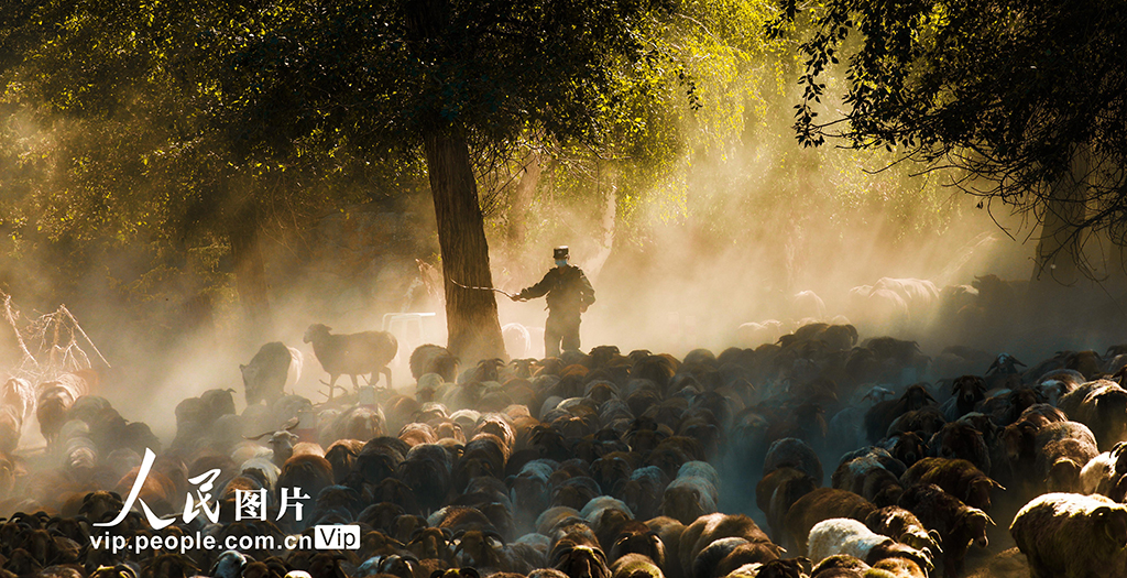 2022年9月3日，护牧小分队民警正在帮助牧民驱赶羊群。