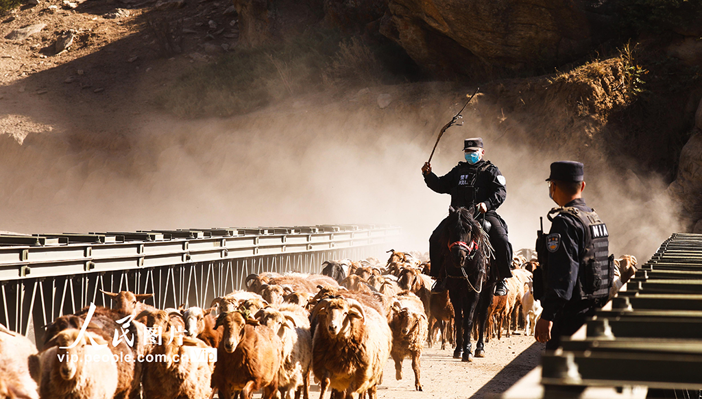 2022年9月3日，护牧小分队民警正在帮助牧民驱赶羊群。