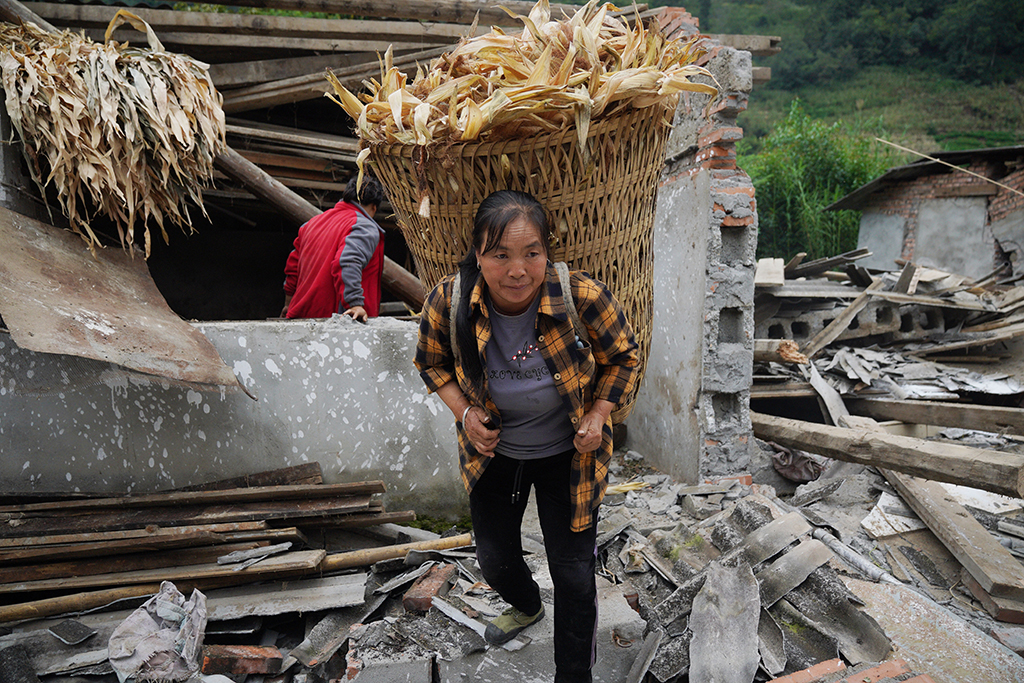 9月7日，在雅安市石棉县王岗坪彝族藏族乡幸福村二组，村民在倒塌的猪圈中搬运苞米叶。