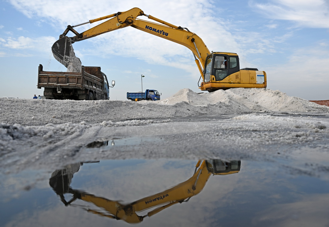 在天津長蘆漢沽鹽場，大型機械在鹽池中進行扒鹽作業（9月14日攝）。