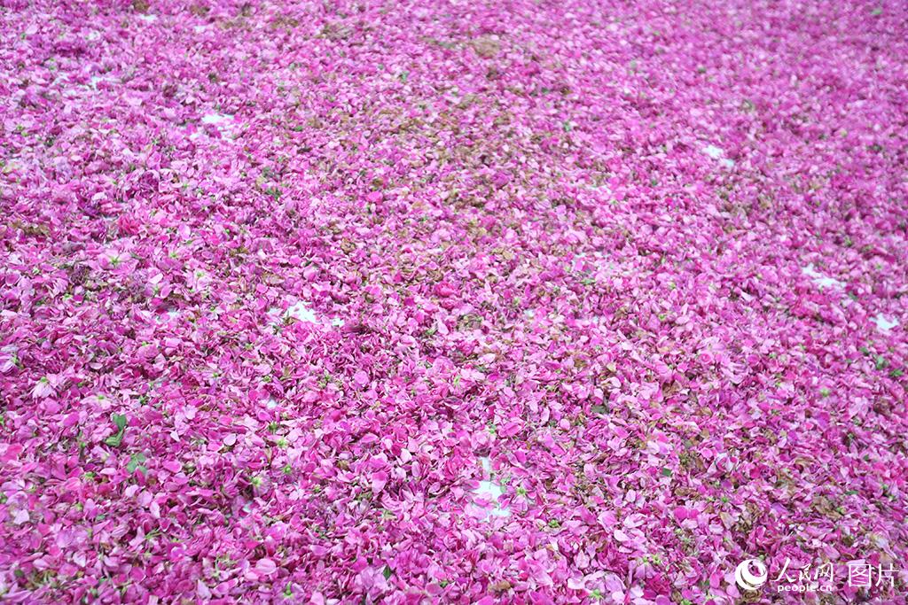 ��õ�徭�á�����������ˡ�4��