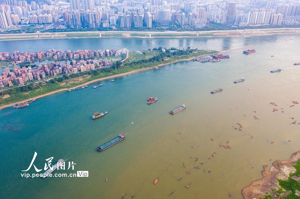 2022年9月24日，货运船舶在广西梧州市西江水域航道上有序航行。