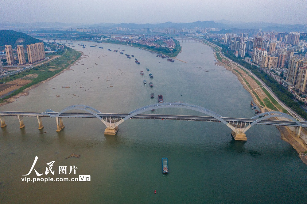 2022年9月24日，货运船舶在广西梧州市西江水域航道上有序航行。