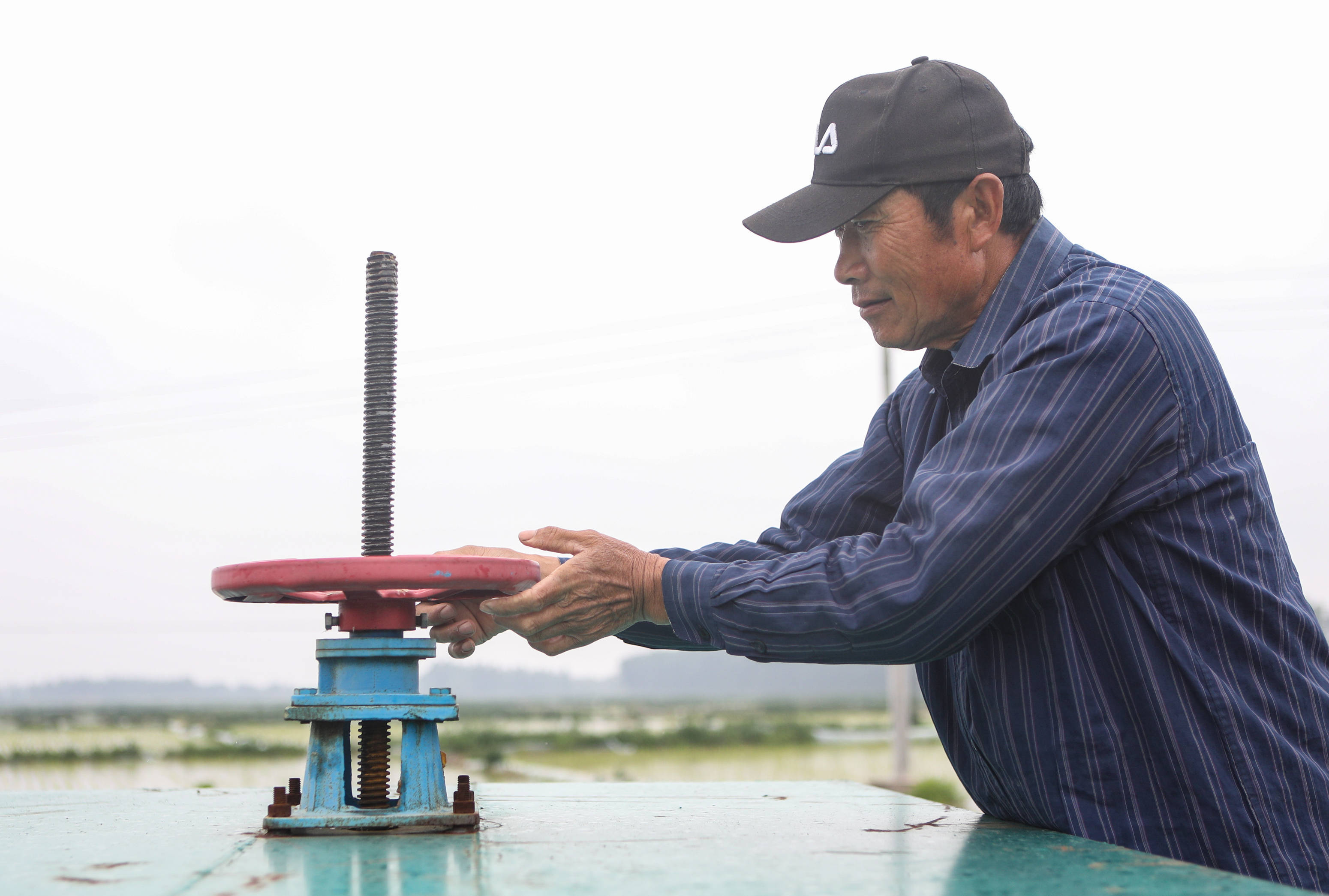 王炳军在操作灌溉稻田的设备水阀（2022年6月13日摄）。新华社记者 王乙杰 摄