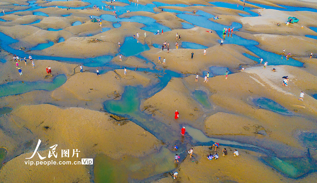湖北武汉：天兴洲沙滩迎客来