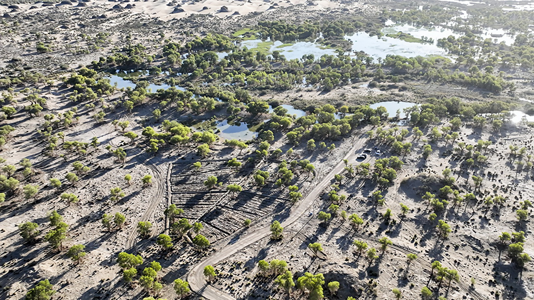 这是2022年8月18日拍摄的塔里木河下游昆阿斯特区域景象（无人机照片）。生态输水后，这里的植被生长良好。新华社发（肖玉磊 摄）