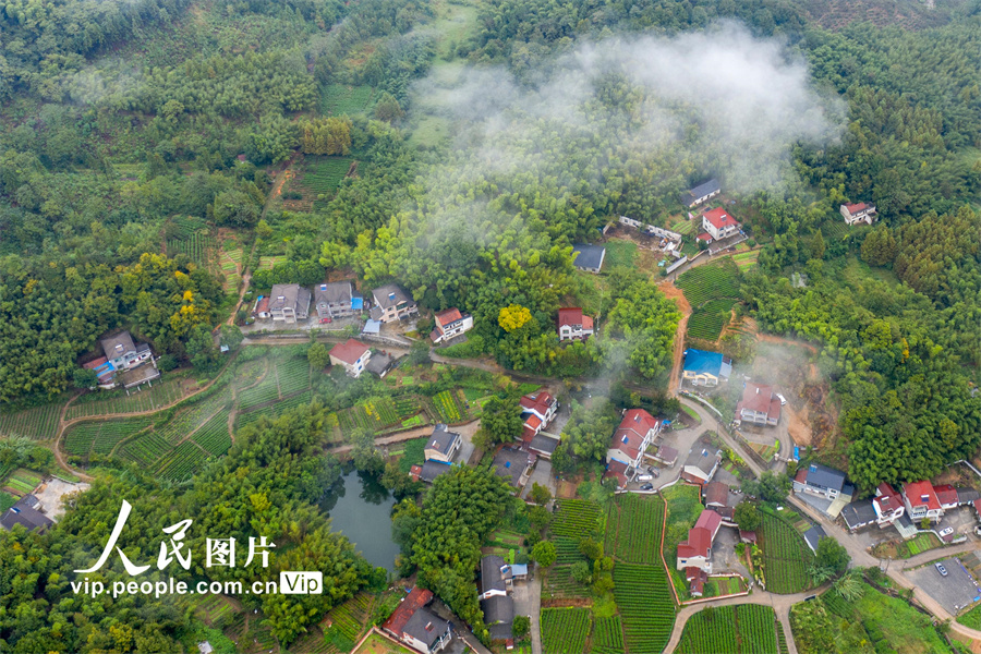 10月7日，浙江省湖州市安吉縣鄣吳鎮秋雨連綿，山鄉雲霧繚繞。