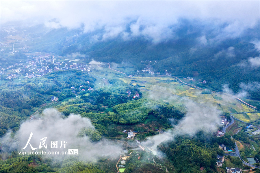10月7日，浙江省湖州市安吉縣鄣吳鎮秋雨連綿，山鄉雲霧繚繞。
