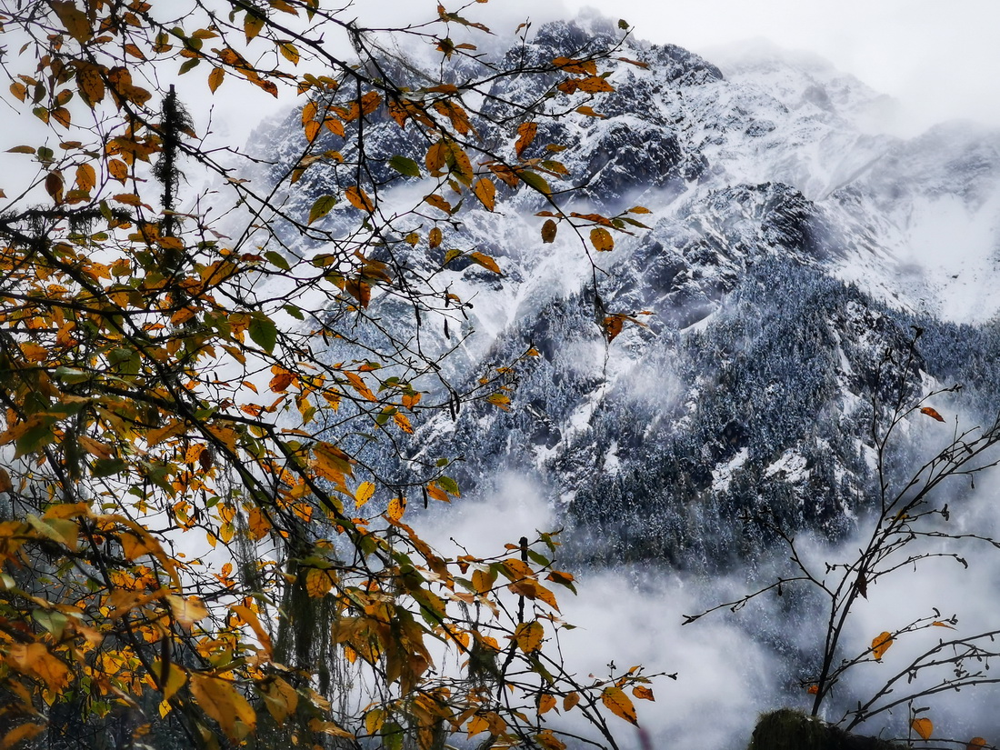 這是10月7日在世界自然遺產地九寨溝拍攝的雪后景色。