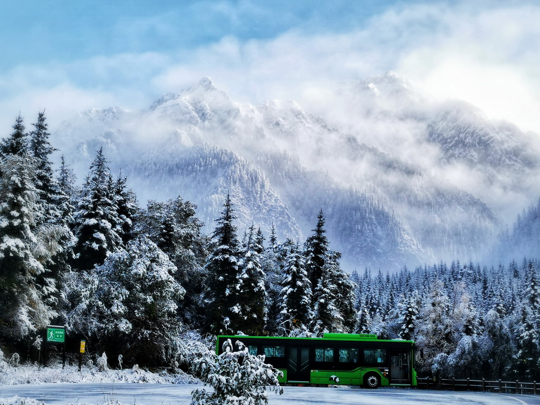 這是10月7日在世界自然遺產地九寨溝拍攝的雪后景色。