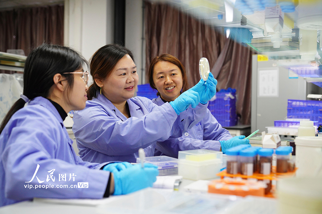 2022年10月9日，在西南大学家蚕基因组生物学国家重点实验室，参与家蚕超级泛基因组项目童晓玲教授（中）和团队成员在检测家蚕基因克隆结果。