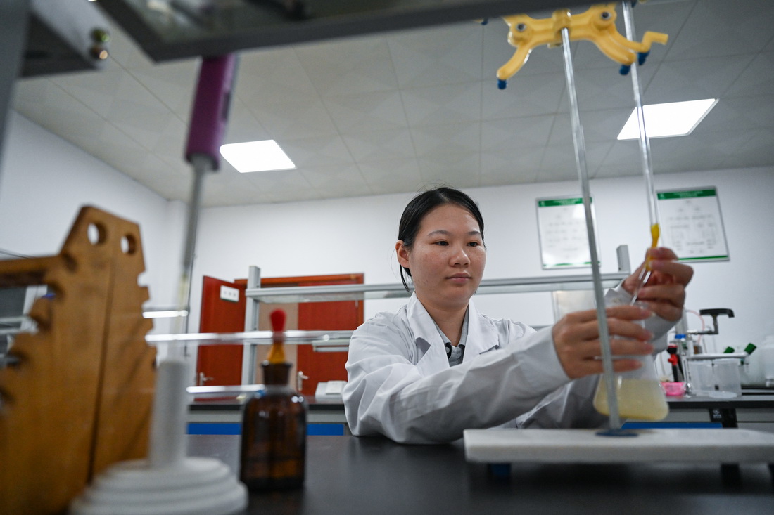 10月11日，在中央儲備糧長樂直屬庫化驗室，工作人員在檢驗玉米。