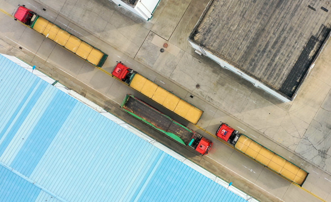 在中央储备粮天津东丽直属库有限公司大港分公司，运粮车在库区仓房间驶过（10月12日摄，无人机照片）。