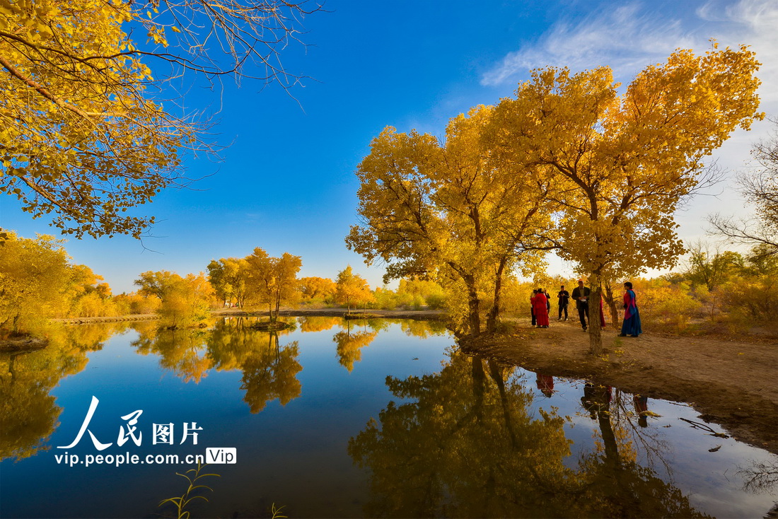 2022年10月15日，游人在敦煌市黄渠镇胡杨林观光游览。