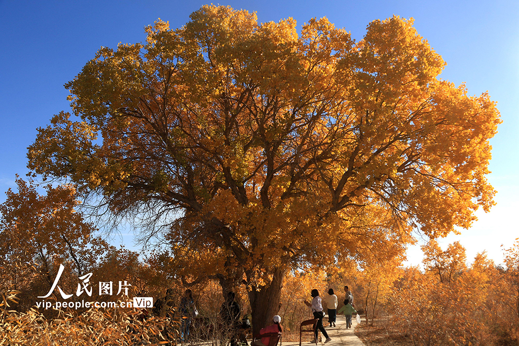 �����������5��