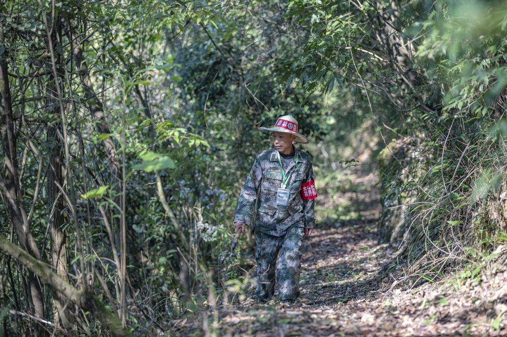10月21日，在重慶金佛山國家級自然保護區，護林員張廷剛在巡護山林。