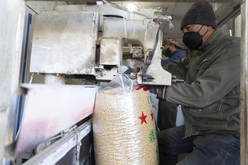 10月25日，在綏化市益盛糧食購銷有限公司內，工人打包大豆。