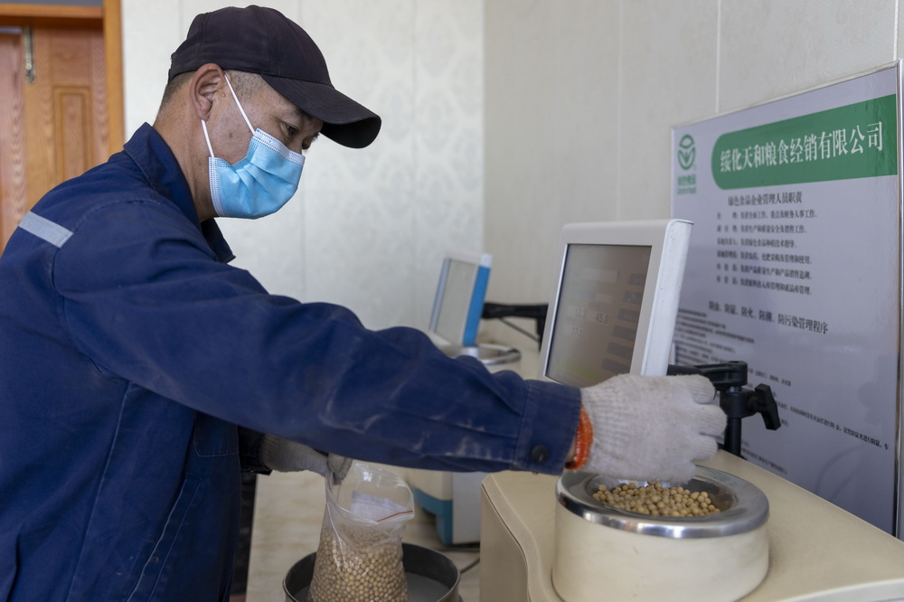 10月25日，檢驗員對大豆進行蛋白質含量檢測。