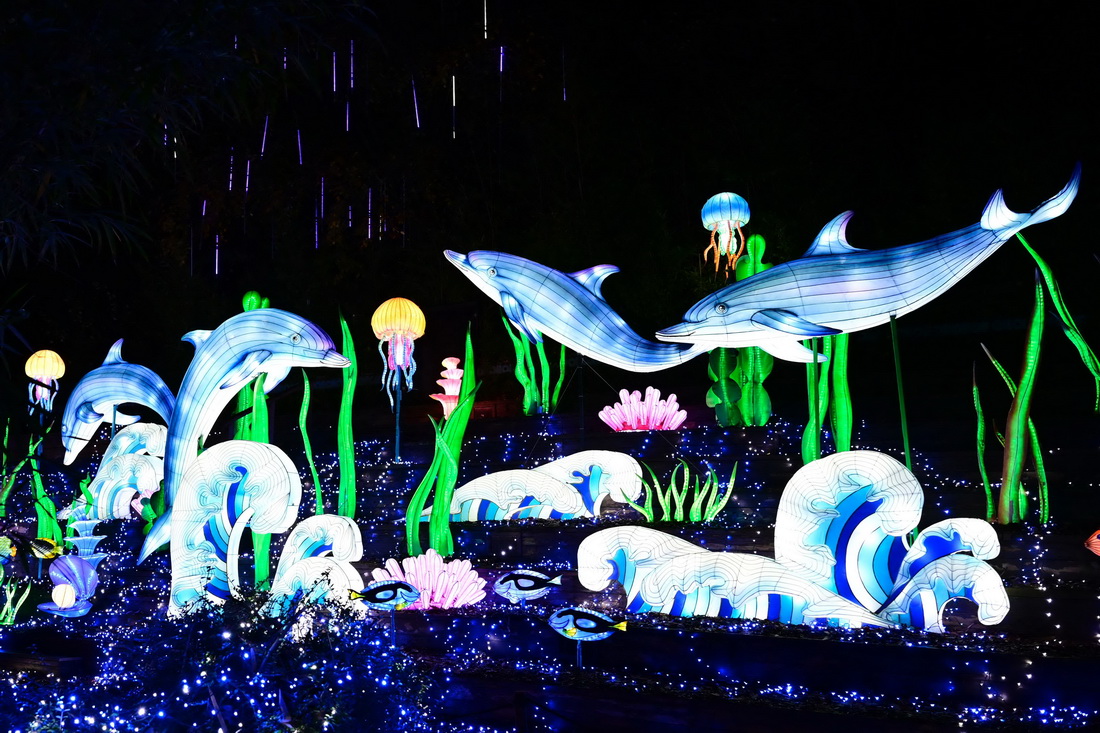 這是11月5日在法國昂內維爾動物園燈展上拍攝的燈光裝置。