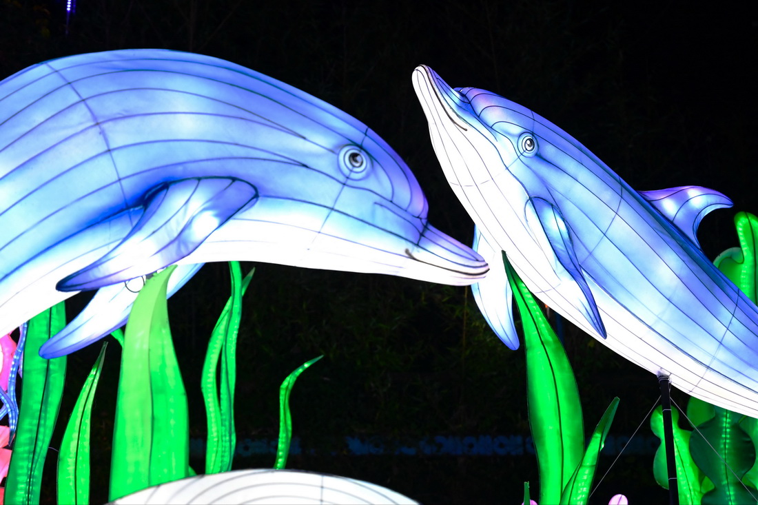 這是11月5日在法國昂內維爾動物園燈展上拍攝的燈光裝置。