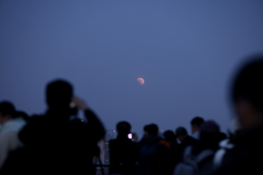 11月8日，人们在北京景山公园观看月全食。新华社记者 郝昭 摄