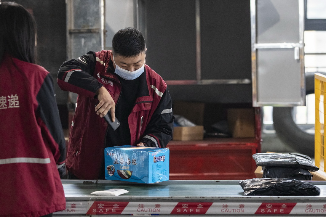 11月10日，在湖北省宜昌市秭歸縣一家快遞企業分撥中心，工作人員在分揀快遞包裹。新華社發（聶爽 攝）