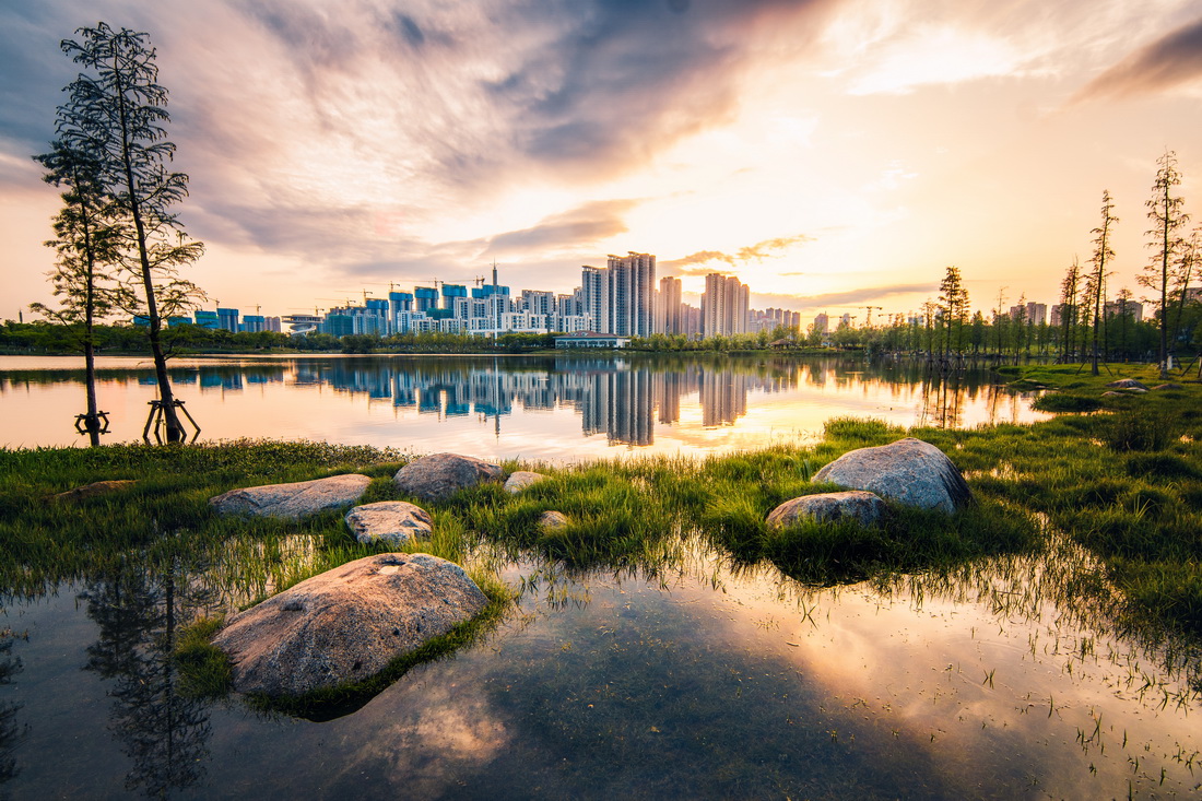 λ���ϲ��������������ʪ�ع�԰��2020��4��19���㣩���»��緢������� �㣩