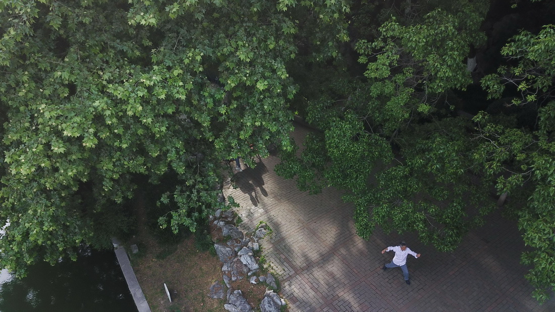 2021年5月5日，市民在合肥市环城公园健身（无人机照片）。 新华社记者 张端 摄