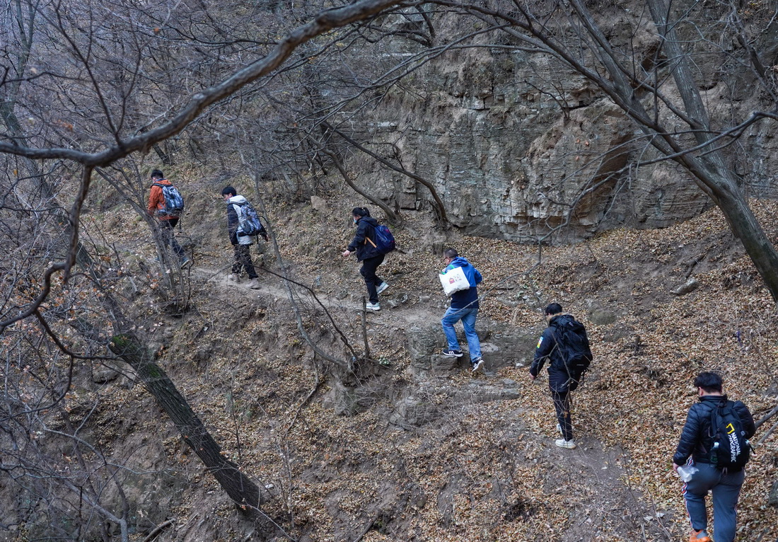 趙明騰（右三）和同事們走在深山中（11月9日攝）。