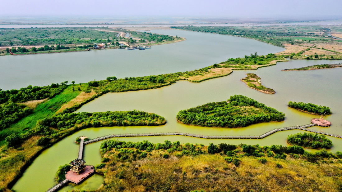 山東黃河三角洲國家級自然保護區景色（2021年5月13日攝，無人機照片）。 新華社記者 郭緒雷 攝