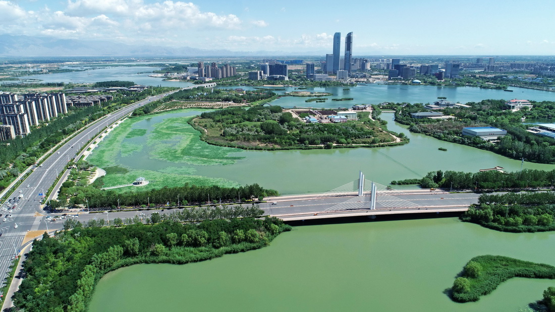 寧夏銀川市閱海國家濕地公園一景（2022年6月27日攝，無人機照片）。 新華社記者 王鵬 攝
