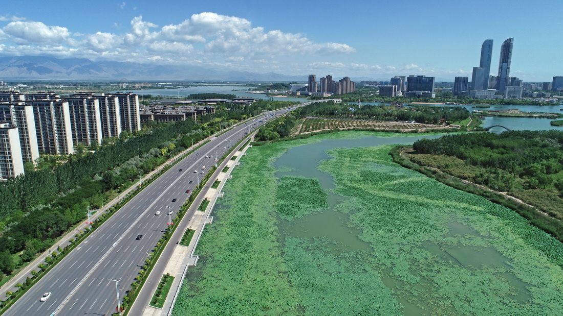 這是2022年6月27日拍攝的寧夏銀川市閱海國家濕地公園（無人機照片）。 新華社記者 王鵬 攝