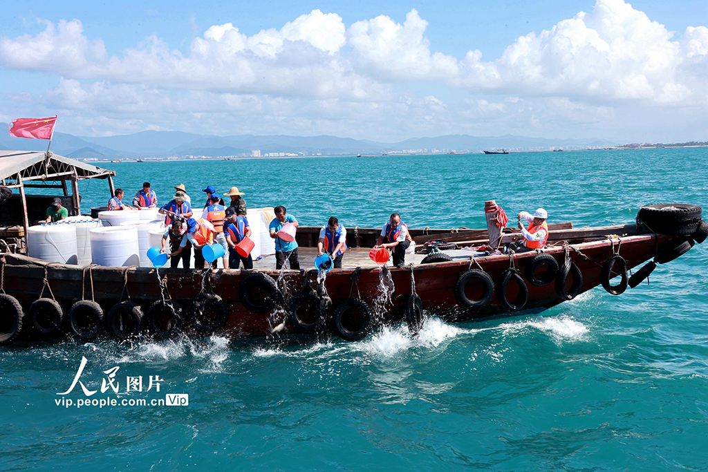 �������ǣ���ֳ��������̬��3��