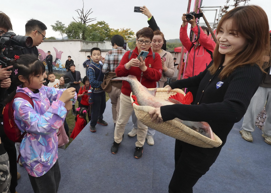 11月19日，游客在活動現場觀賞捕獲的“魚王”。