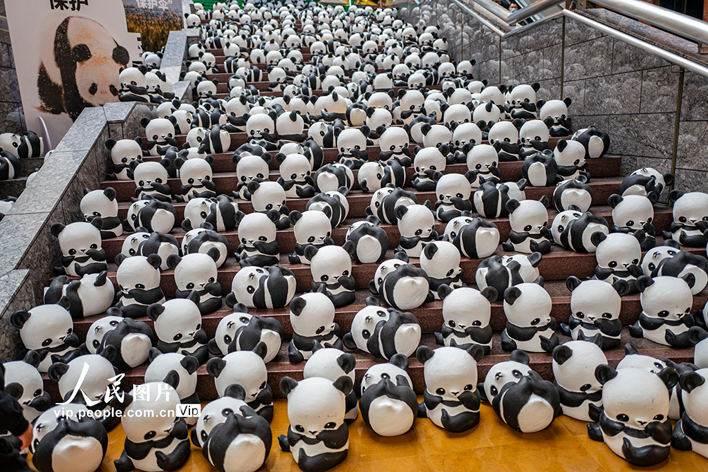 大熊貓巡展 呼吁生物多樣性保護【4】
