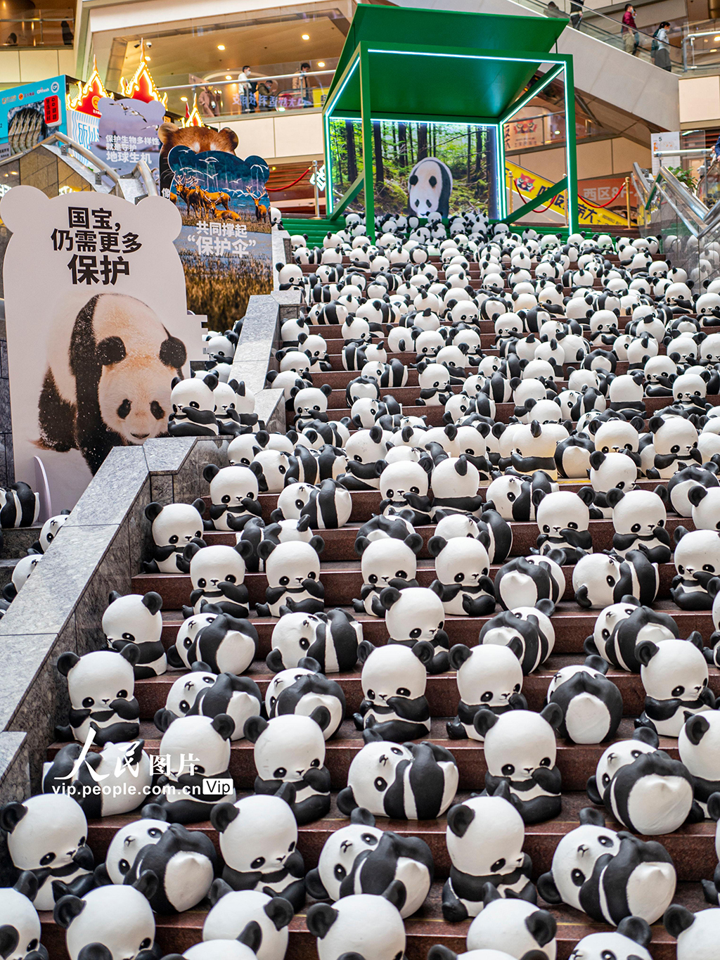 大熊貓巡展 呼吁生物多樣性保護【3】