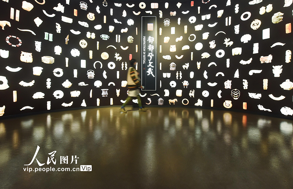 �㽭���ݾٰ����ܽ���������Ʒչ��15��