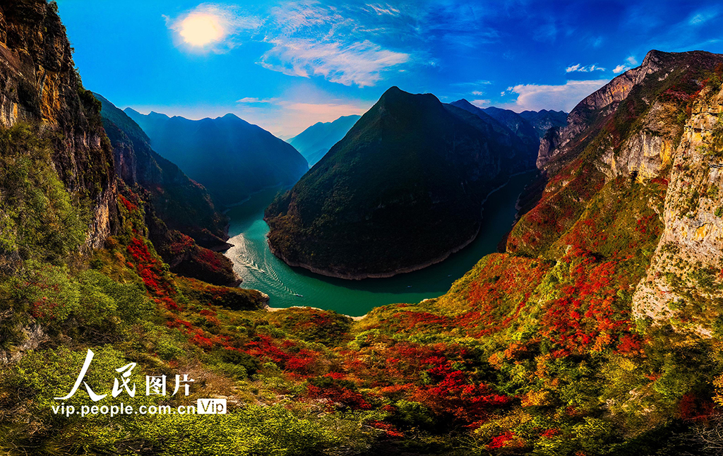 重庆巫山：黄栌叶红游客来