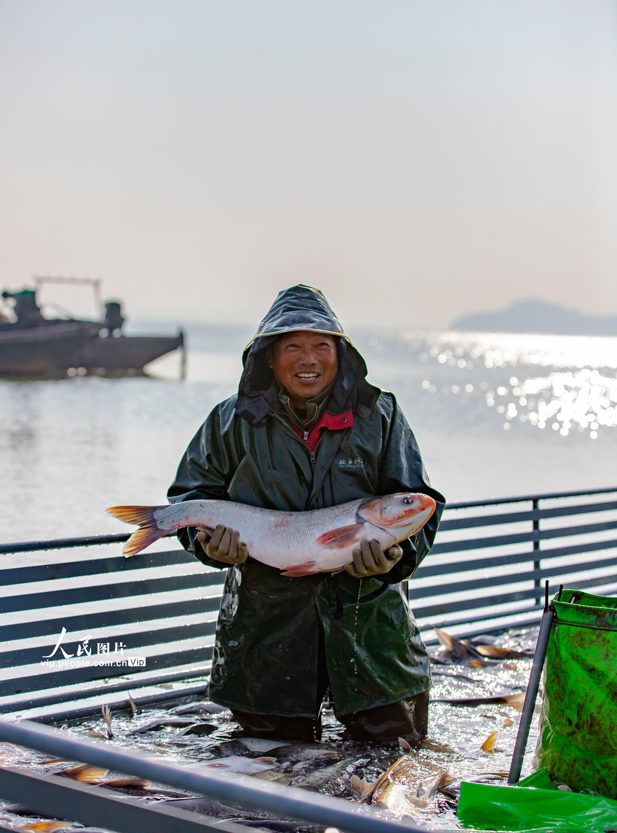 �������ڣ���Ծ�˻�����æ��4��