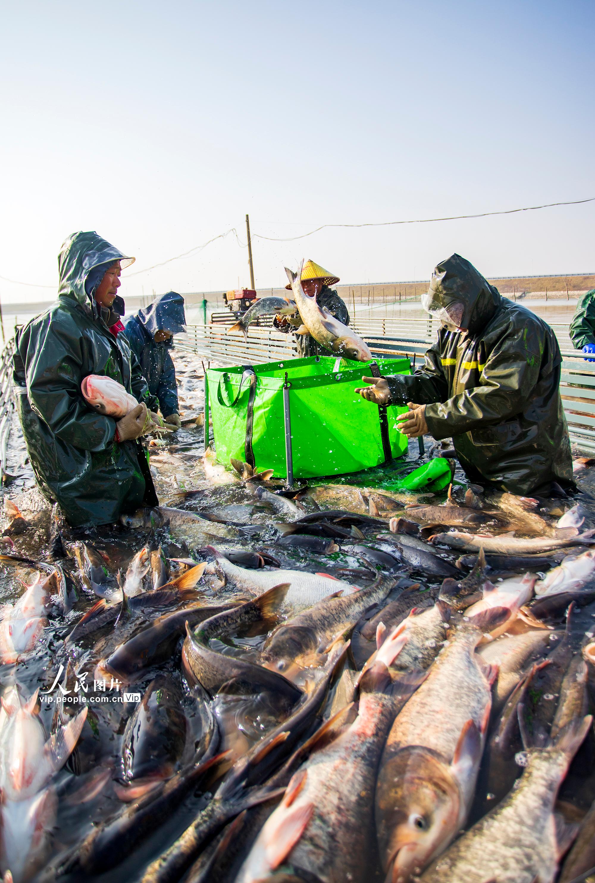 �������ڣ���Ծ�˻�����æ��5��