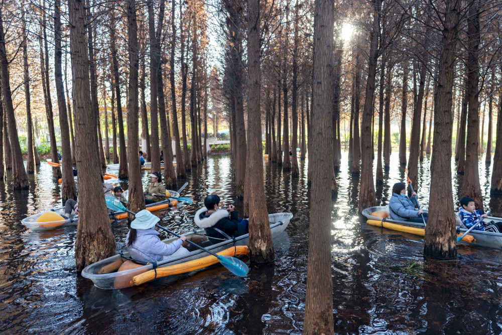 1月5日，游客在海洪濕地公園裡劃船。