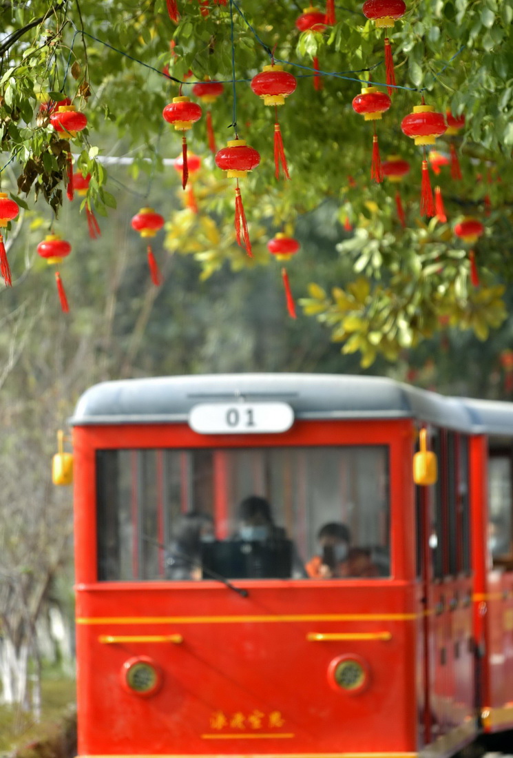 1月10日，“小火车”在宣恩县城区行驶。新华社发（宋文摄）
