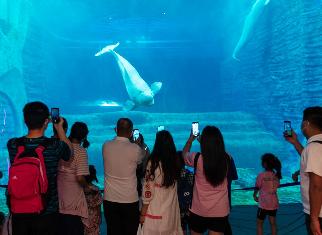 游客在海南三亞亞特蘭蒂斯酒店水族館參觀游玩（2022年12月30日攝）。新華社發（王學 攝）