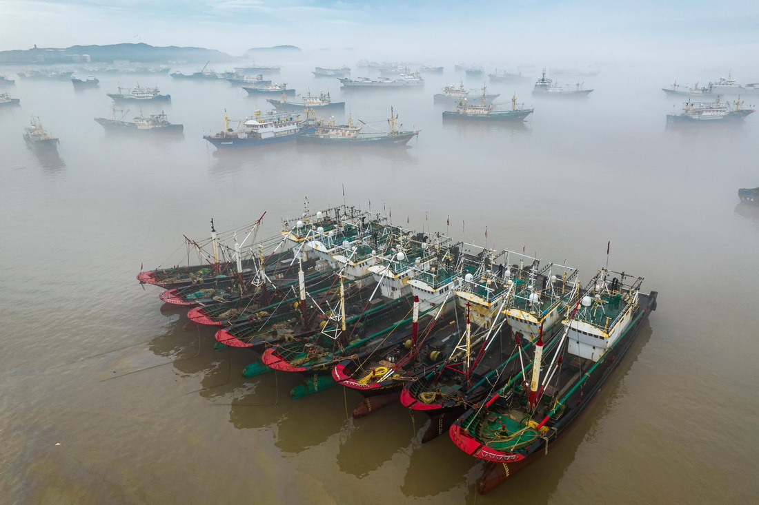 1月14日，在温岭市石塘镇中心渔港拍摄的进港躲避寒潮大风天气的渔船（无人机照片）。