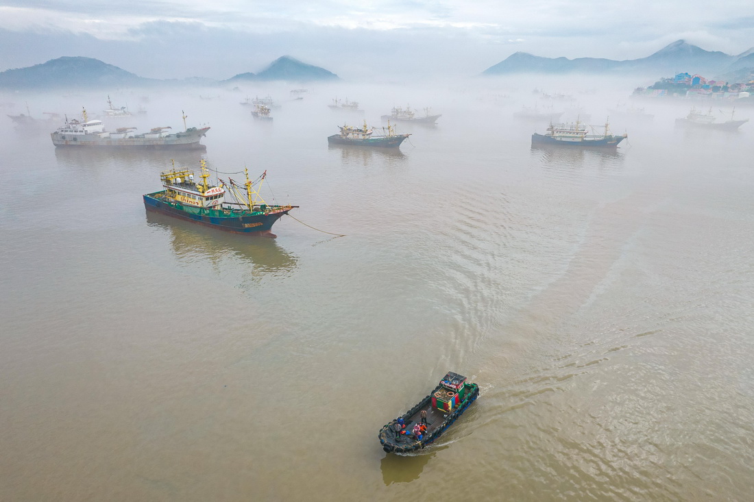 1月14日拍摄的温岭市石塘镇中心渔港（无人机照片）。
