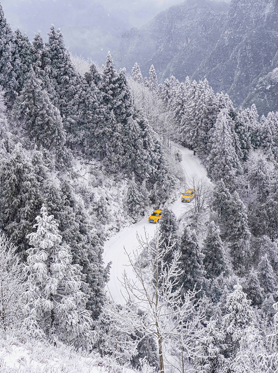 1月17日，在湖北省鶴峰縣，應急搶險人員駕車穿行在林區小路上。