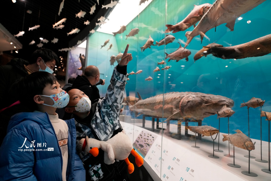 2023年1月23日，游人在位于重庆市北碚区的重庆自然博物馆参观。