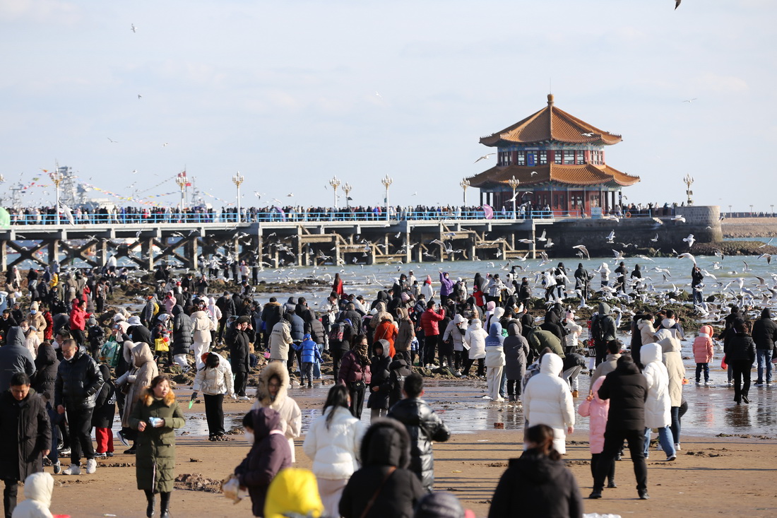 1月25日，游客在山東省青島棧橋風景區游玩。新華社發（黃杰顯 攝）
