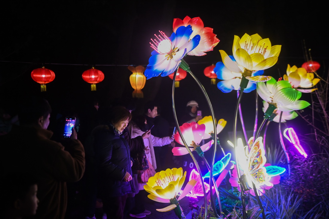 1月29日，在嘉興市秀洲區新塍古鎮小蓬萊公園內，人們前來觀賞“鰲山燈會”的彩燈。